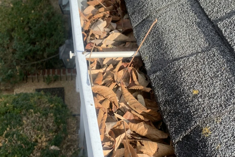 Ellicottville Gutter Cleaning
