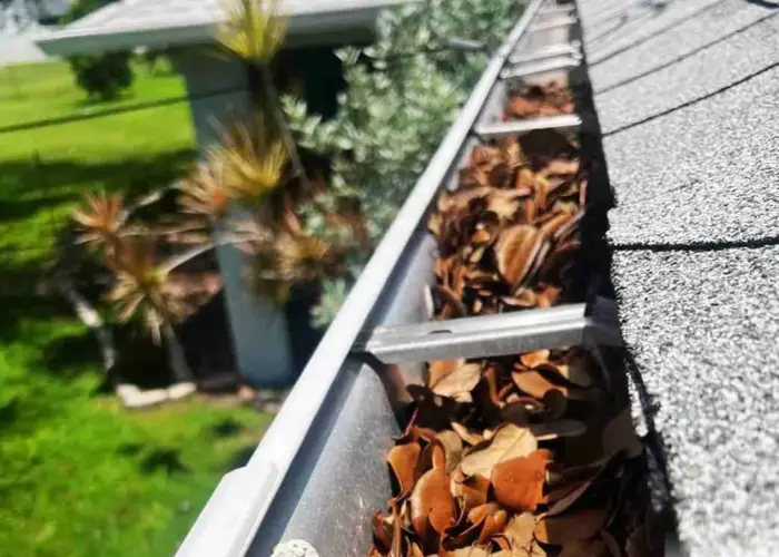 Ellicottville gutter cleaning home page